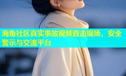 海角社区真实事故视频直击现场，安全警示与交流平台