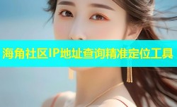 海角社区IP地址查询精准定位工具
