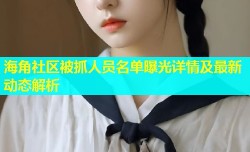 海角社区被抓人员名单曝光详情及最新动态解析