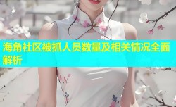 海角社区被抓人员数量及相关情况全面解析