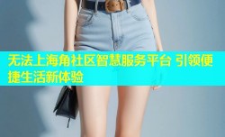 无法上海角社区智慧服务平台 引领便捷生活新体验