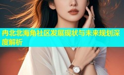 冉北北海角社区发展现状与未来规划深度解析