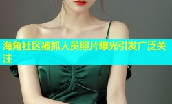 海角社区被抓人员照片曝光引发广泛关注