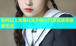 如何以上海角社区为核心打造宜居幸福新生活