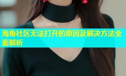 海角社区无法打开的原因及解决方法全面解析