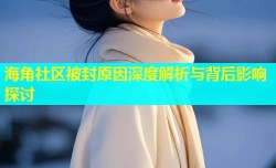 海角社区被封原因深度解析与背后影响探讨