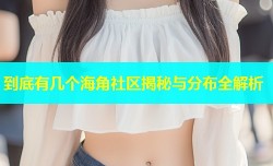 到底有几个海角社区揭秘与分布全解析