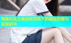 海角社区土地征收背景下的居民安置与发展研究