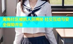海角社区被抓人员揭秘 社交互动与安全保障并重
