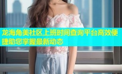 龙海角美社区上班时间查询平台高效便捷助您掌握最新动态