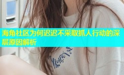 海角社区为何迟迟不采取抓人行动的深层原因解析