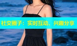 社交圈子：实时互动、兴趣分享