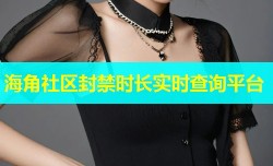 海角社区封禁时长实时查询平台