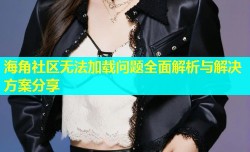 海角社区无法加载问题全面解析与解决方案分享