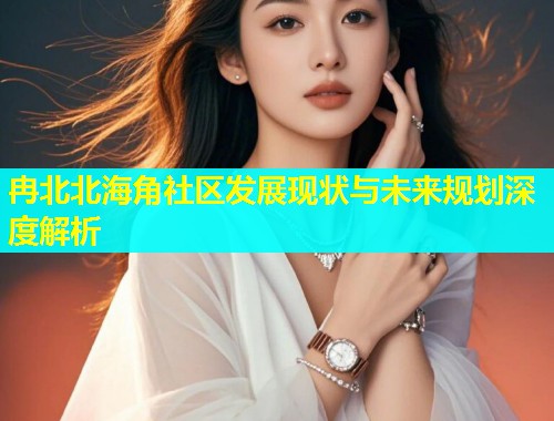 冉北北海角社区发展现状与未来规划深度解析  第1张