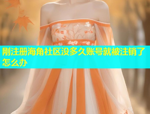 刚注册海角社区没多久账号就被注销了怎么办  第1张