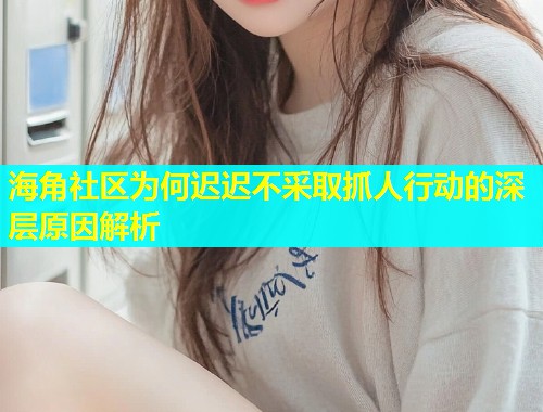 海角社区为何迟迟不采取抓人行动的深层原因解析  第1张