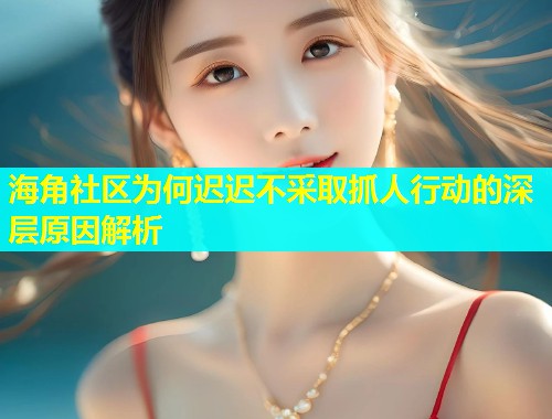 海角社区为何迟迟不采取抓人行动的深层原因解析  第2张