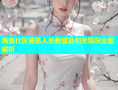 海角社区被抓人员数量及相关情况全面解析  第1张