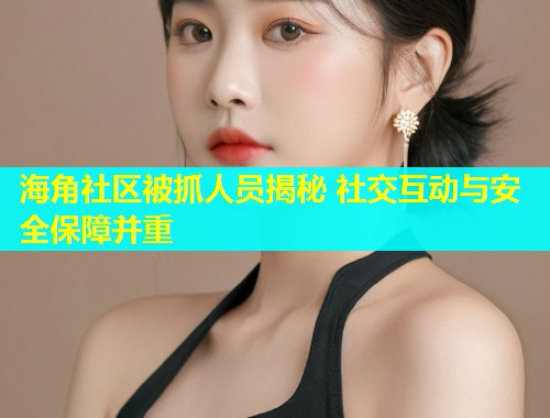 海角社区被抓人员揭秘 社交互动与安全保障并重  第2张