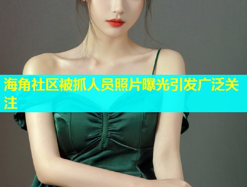 海角社区被抓人员照片曝光引发广泛关注  第1张