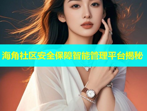 海角社区安全保障智能管理平台揭秘  第1张
