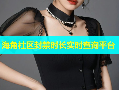 海角社区封禁时长实时查询平台  第1张